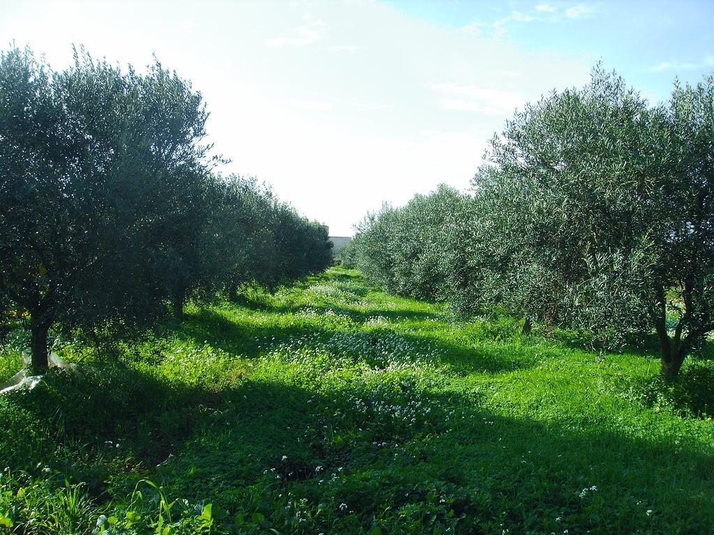 Casale Stagnone Marsala Exterior foto
